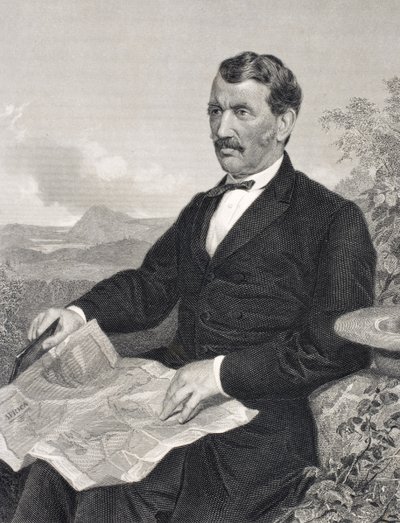 David Livingstone (1813-73) by English School